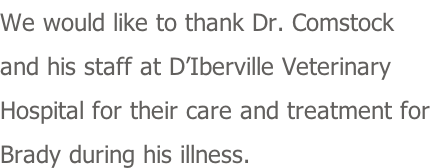 We would like to thank Dr. Comstock and his staff at D’Iberville Veterinary  Hospital for their care and treatment for Brady during his illness.
