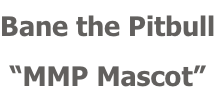 Bane the Pitbull “MMP Mascot”